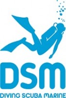 Diving scuba marine